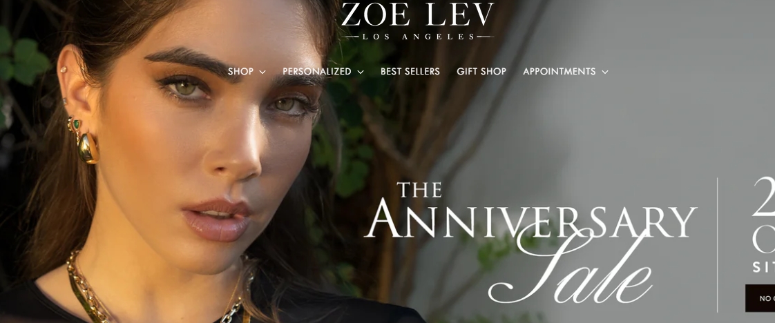 zoelev.com banner